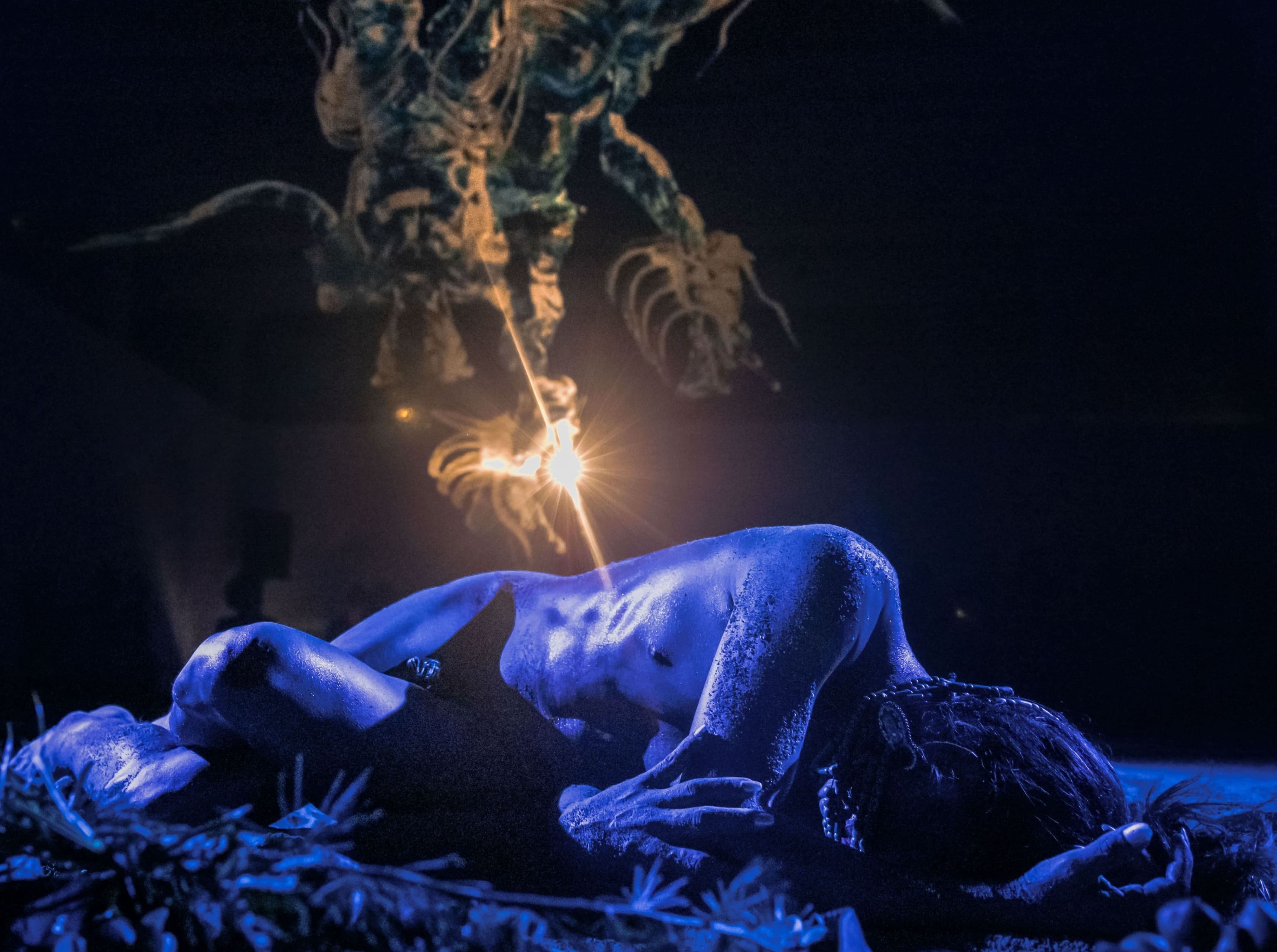 "BIGUIDIRIBELA", performance multimedia