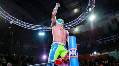 Domingo Familiar del Consejo Mundial de Lucha Libre