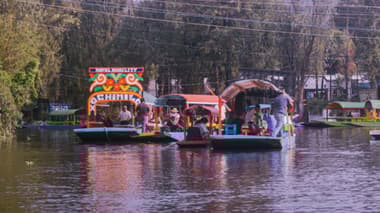 Fiesta en Trajinera por Xochimilco: Mariachi, bebidas a bordo & tacos