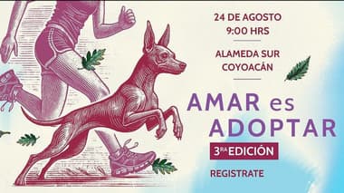 Carrera: Amar es Adoptar