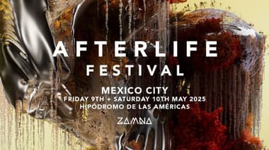 Afterlife 2025
