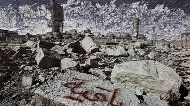 Carla Rippey: La imagen interceptada