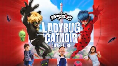 Miraculous Ladybug & Cat Noir Adventure