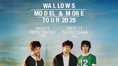 Wallows
