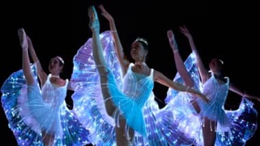 We call it Ballet: Espectáculo de Danza y Luces de La Bella Durmiente