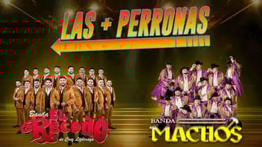 Las + Perronas: Banda El Recodo y Banda Machos