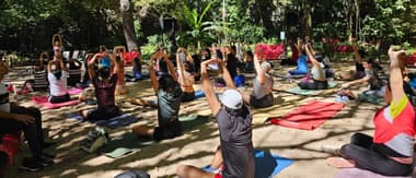 Yoga gratis en el Bosque de Chapultepec