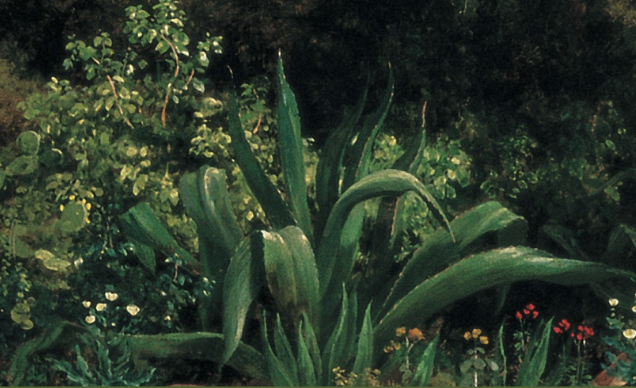 El jardín de Velasco: Recorridos botánicos por la CDMX con el Museo Kaluz