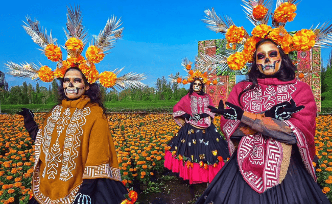 La Ruta del Cempasúchil