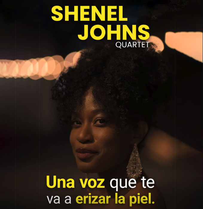 NY Jazz All Stars 2026: Shenel Johns Quartet