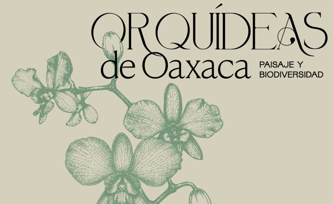 Orquídeas de Oaxaca: Paisaje y Biodiversidad