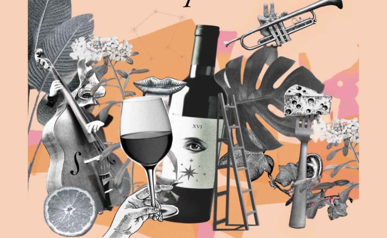 Vinofy Wine Fest The Experience