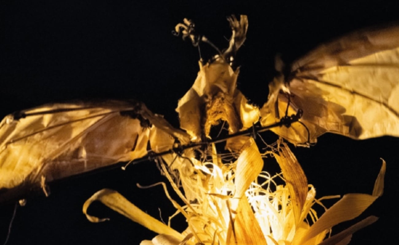 Las fiestas del pueblo Murciélago