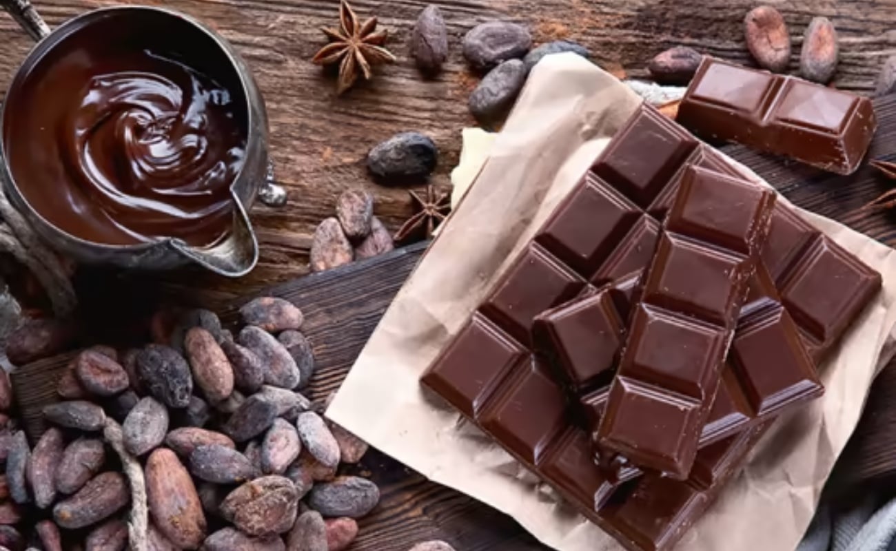 Noche de Museos con Capital Bus