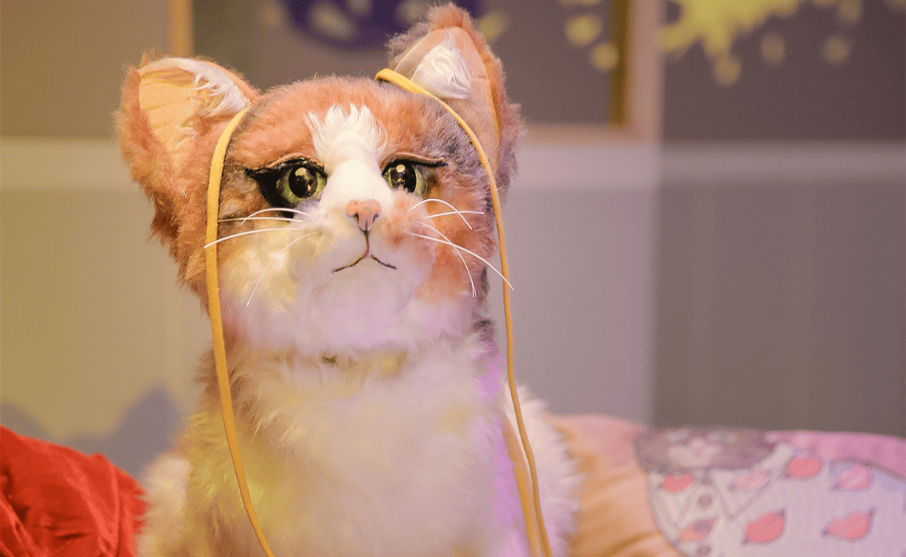 Cati, Catalina, Calicó, o la maravillosa vida de la niña gato