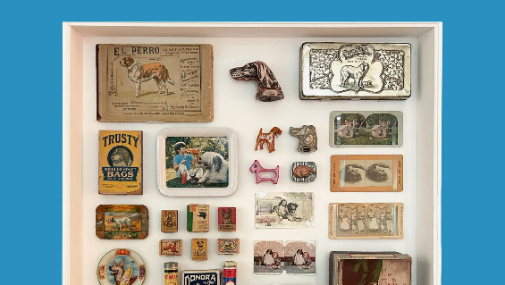 La colección, con todas sus letras, XV años del MODO