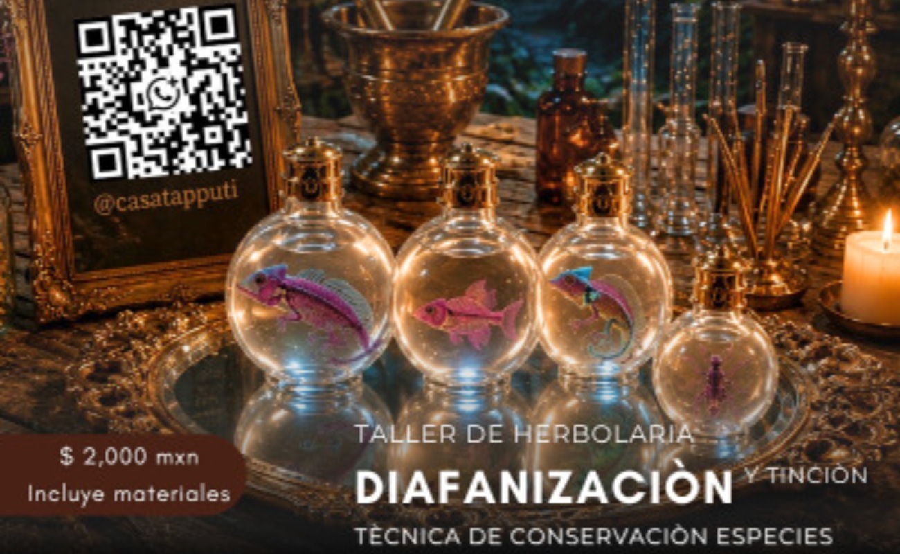 Diafanización y tinción técnica de conservación de especies