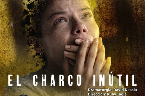 El charco inútil