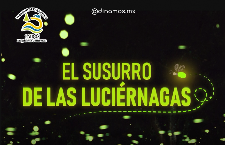 El susurro de las luciérnagas