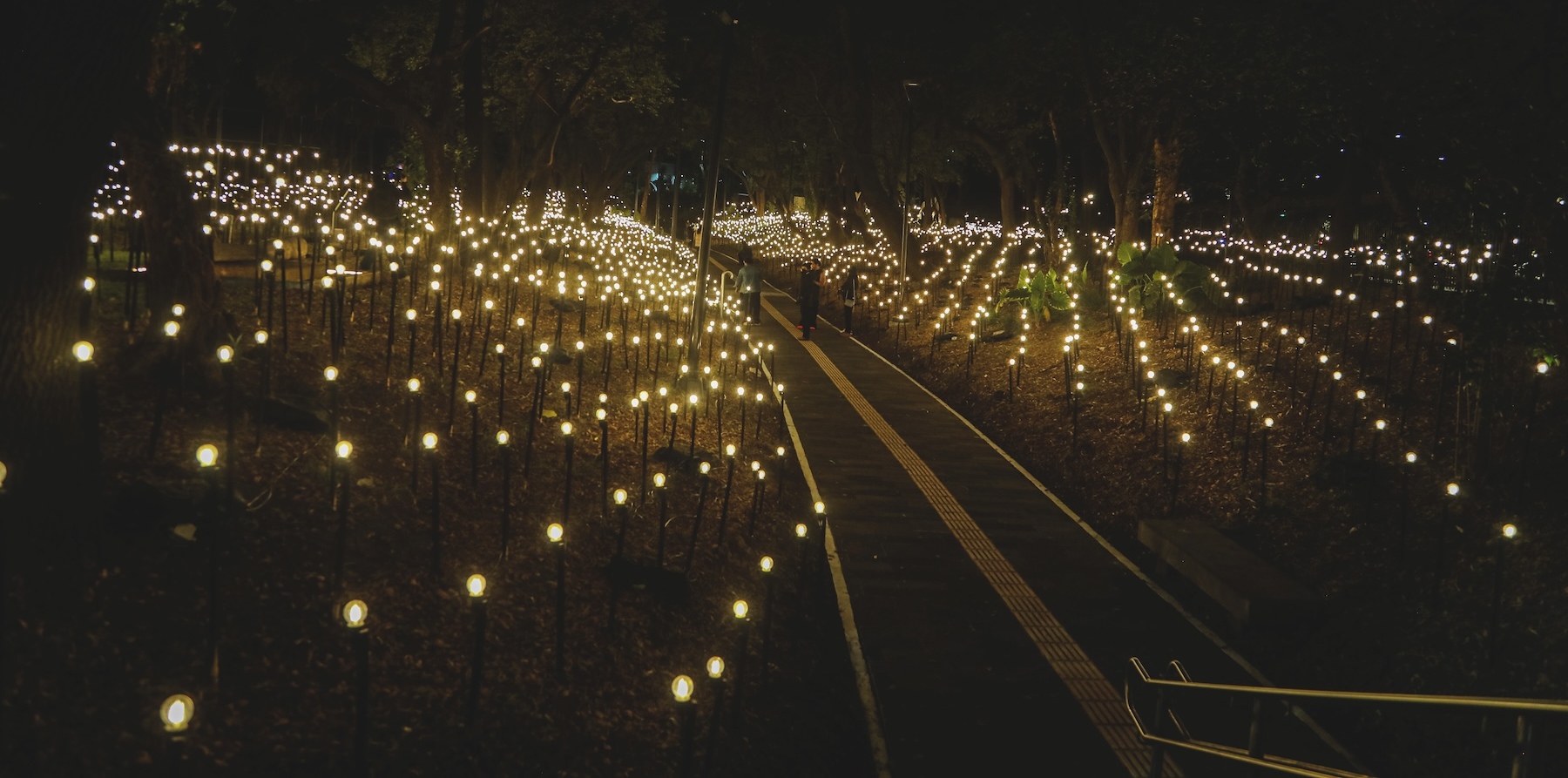 Rafael Lozano-Hemmer: Jardín inconcluso