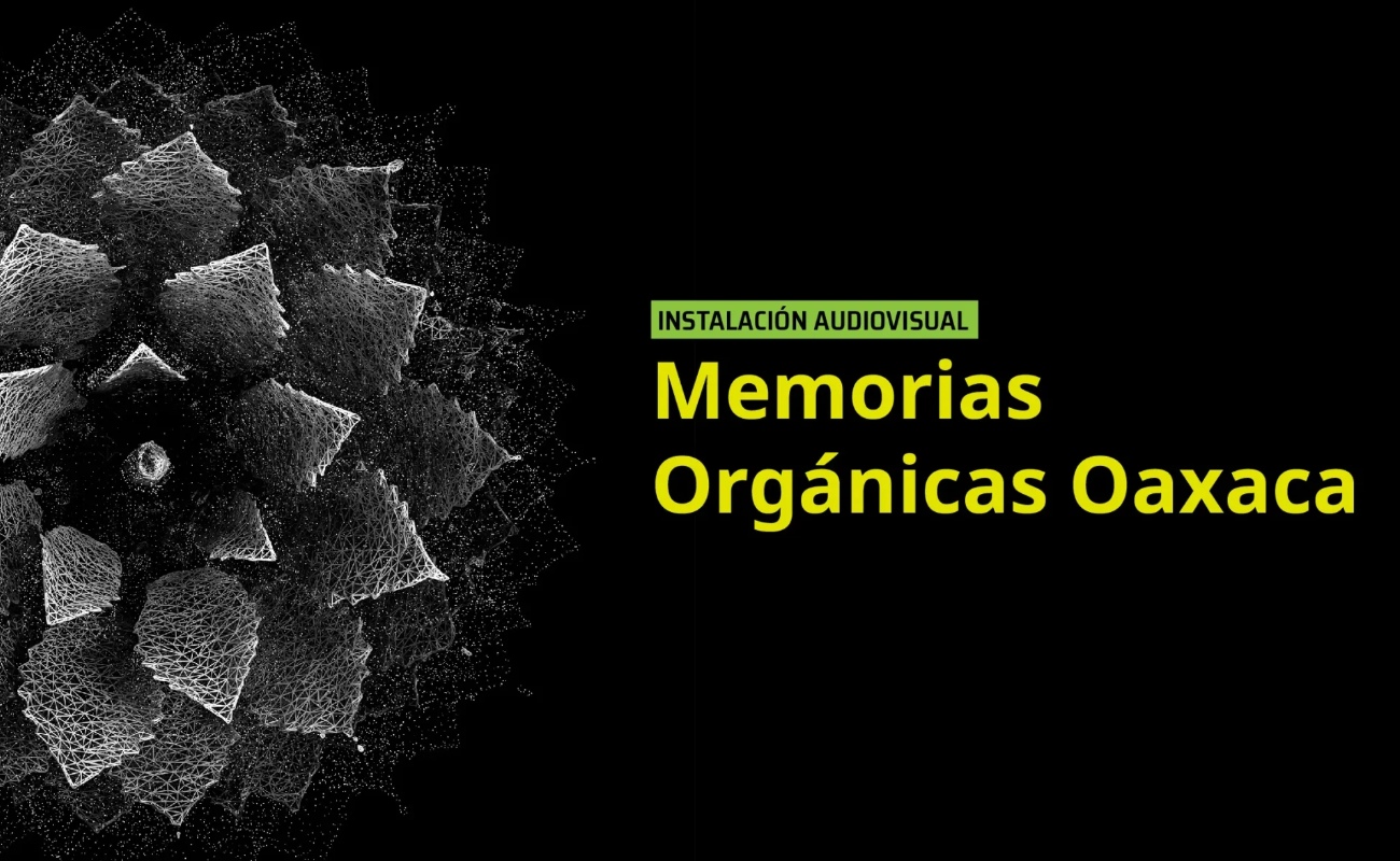 Muestra > Memorias Orgánicas Oaxaca