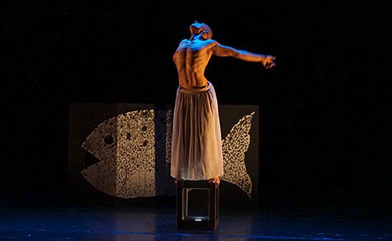 Cardumen. Poema escénico para un pez