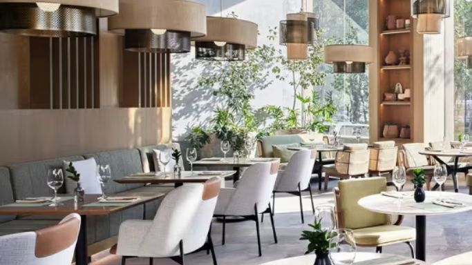 Mapa Culinario: Cena maridaje 6 tiempos