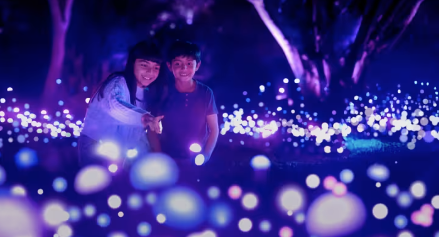 Light Cycles en Chapultepec