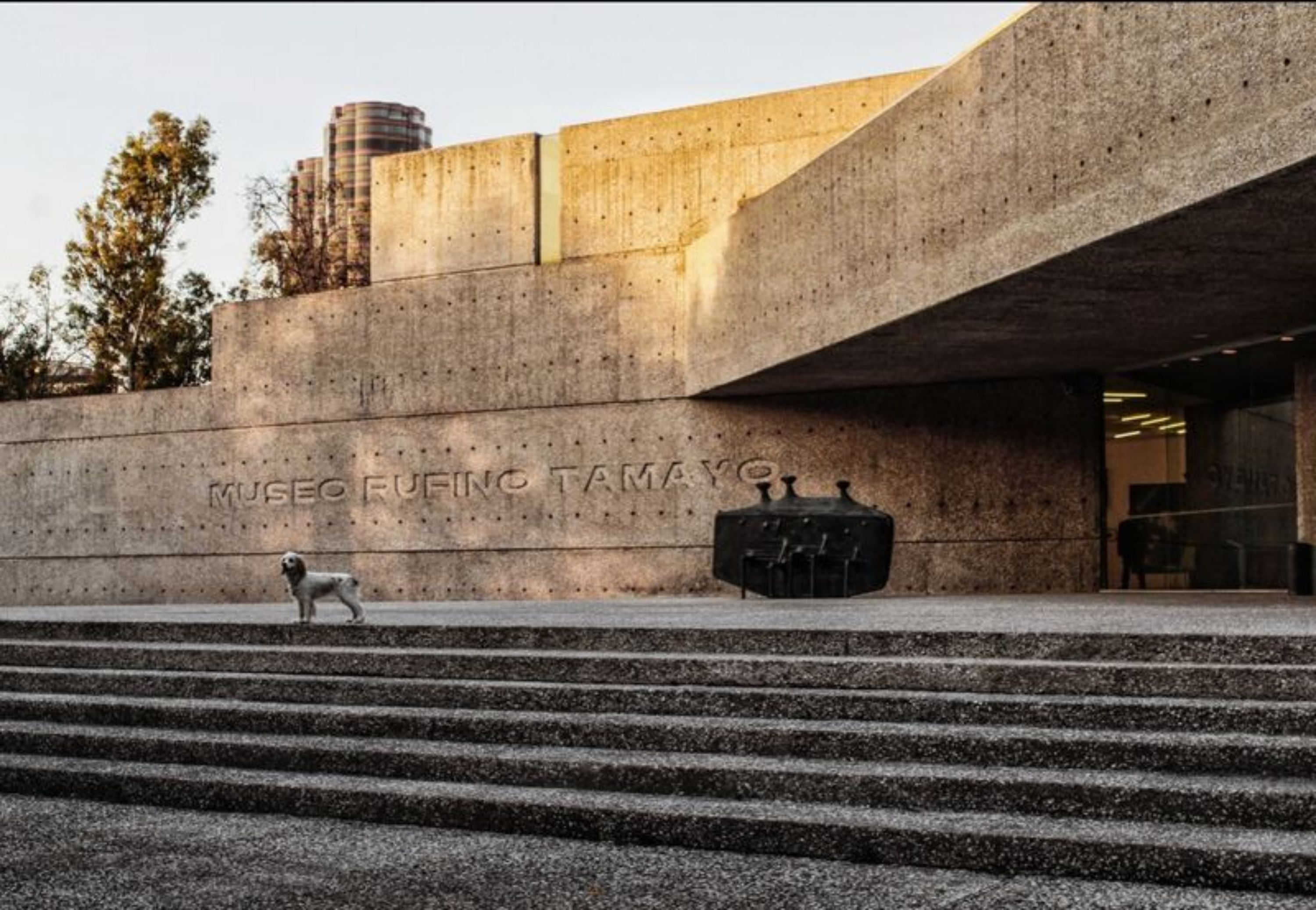 Visita guiada arquitectónica por el Museo Tamayo