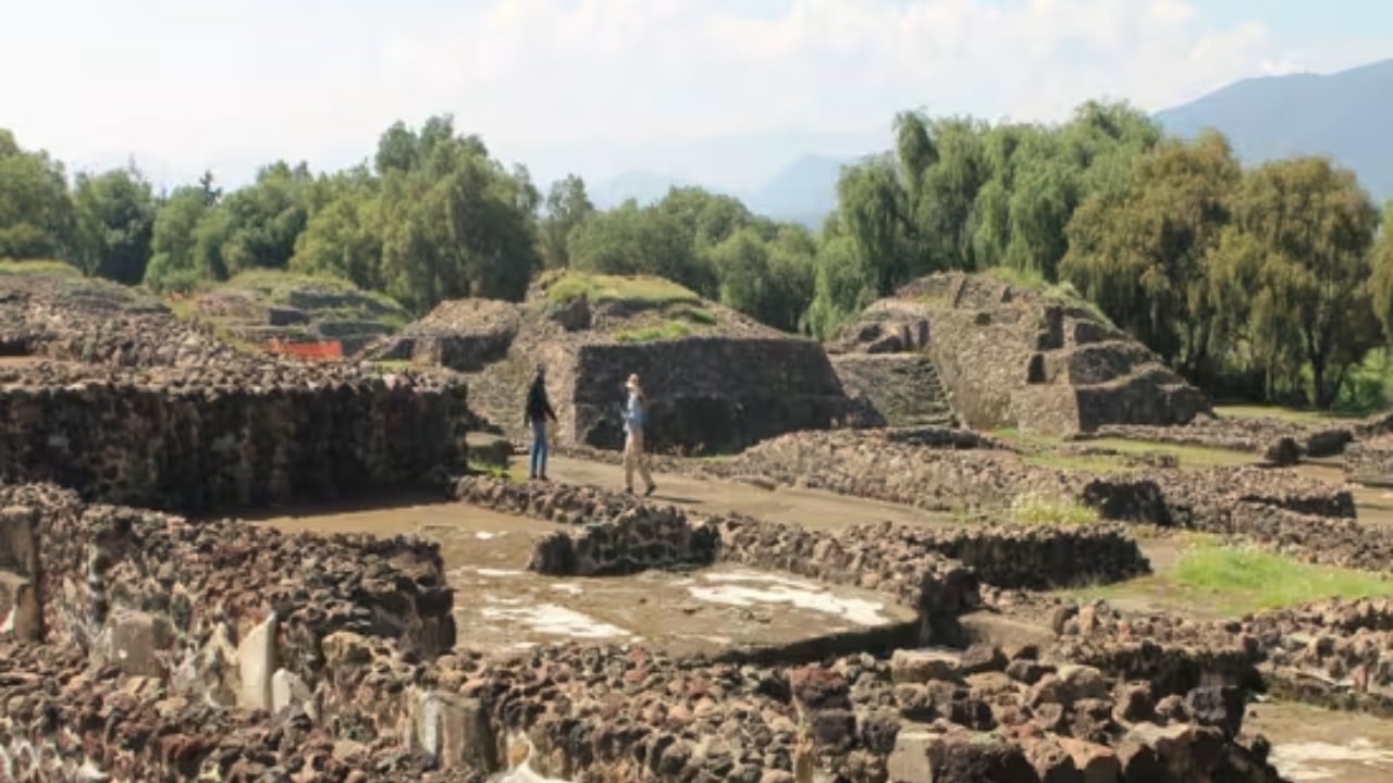 Recorrido guiado a Teotihuacán, Basílica de Guadalupe y Tlatelolco  – Todo en un Día