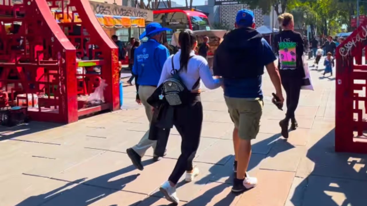 Explora los Sabores y la Cultura de CDMX: Degustación de Tacos, Carnes Exóticas e Insectos