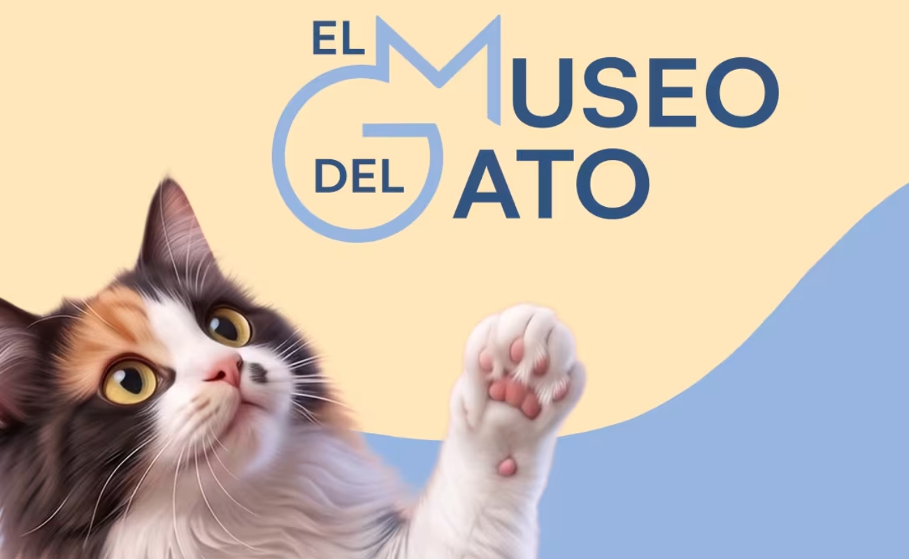 El Museo del Gato