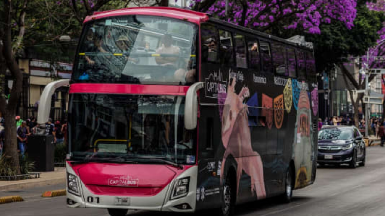 Hop On / Hop Off Tour CDMX