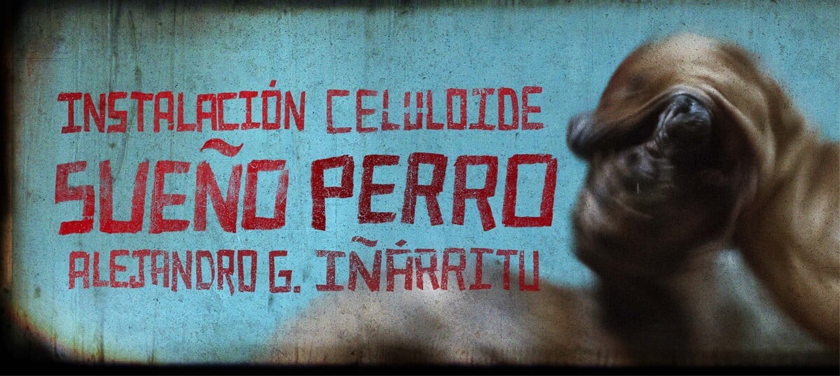 Sueño Perro