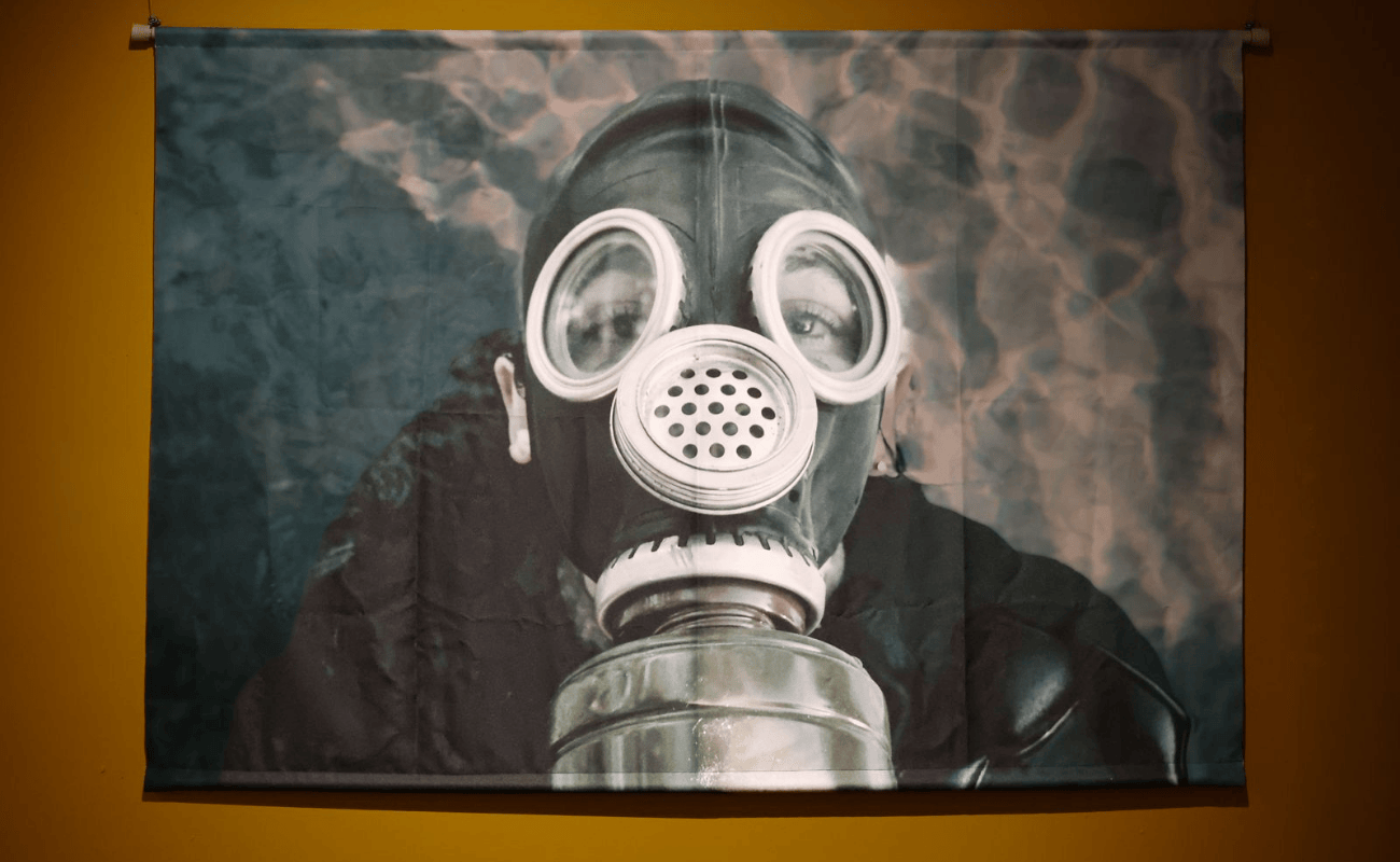 Planeta Complejo. Diversidad