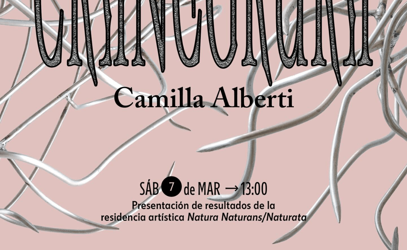 Natura Naturans / Naturata Camilla Alberti