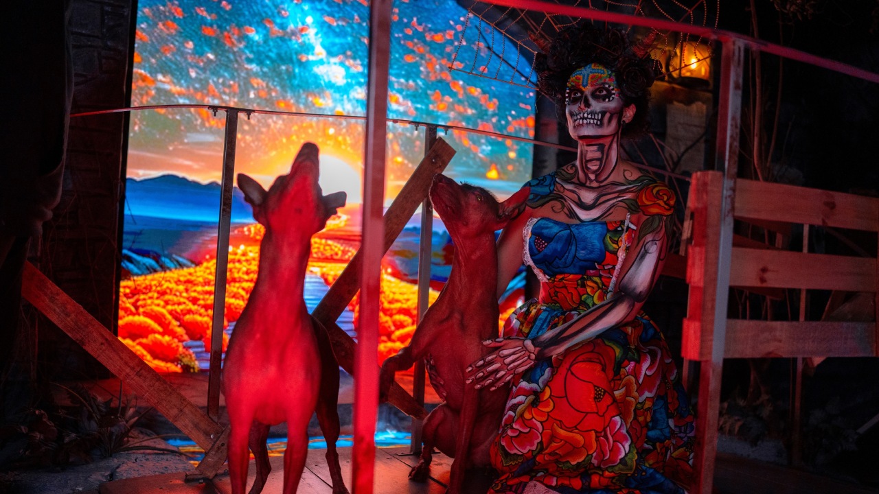 Un Viaje al Mictlán 2025