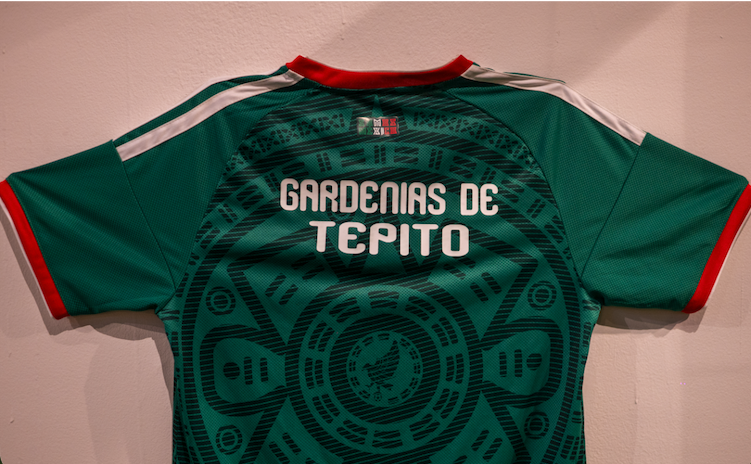 Tepito en la cancha: fútbol, comunidad e identidad