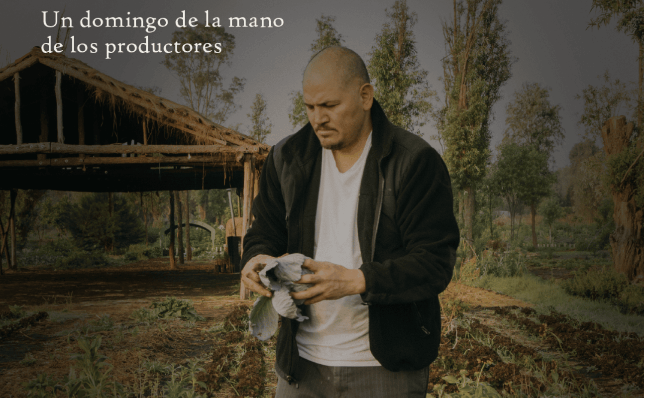 Mercado en Máximo: un domingo de la mano de los productores