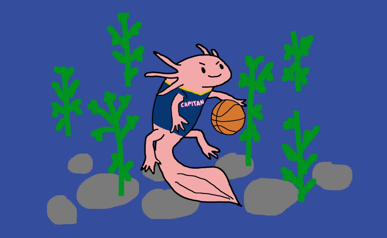 Theme Night del Ajolote