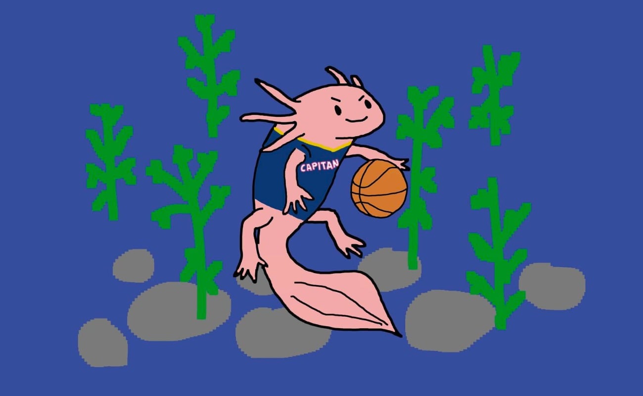 Capitanes vs Remix | PARTIDO 3 FEBRERO