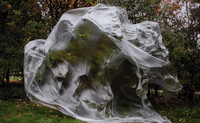 Desde el regazo de un pájaro. Genealogías y disidencias.