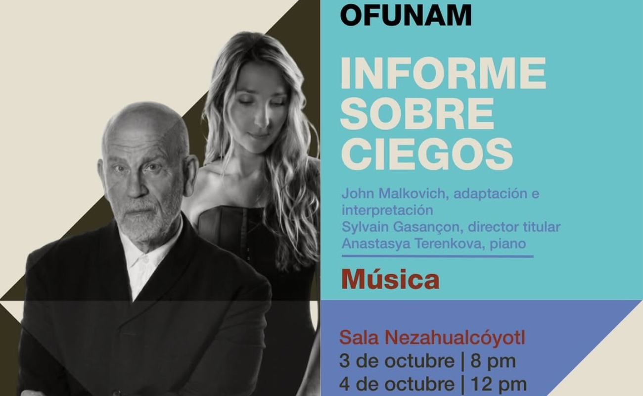 Informe sobre ciegos