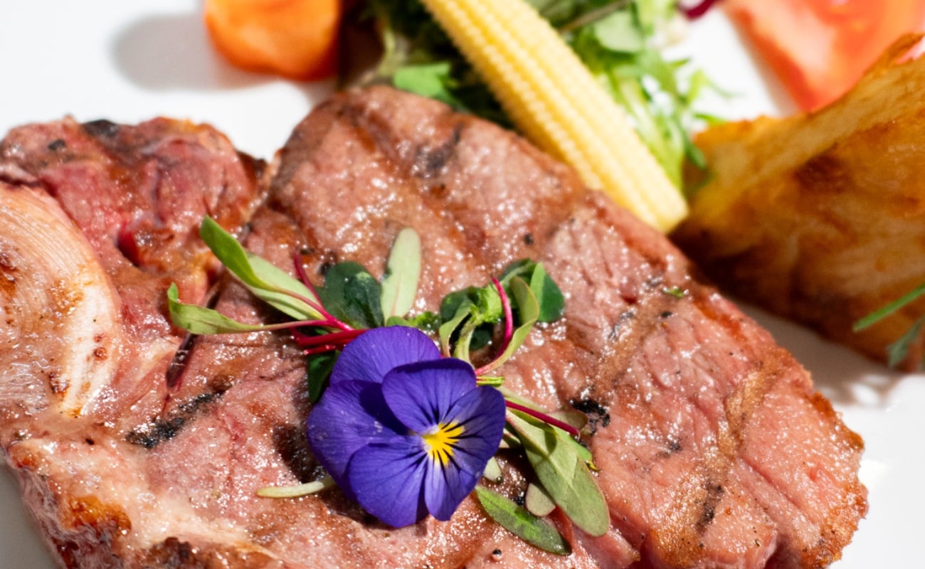 Festival del Josper 2026