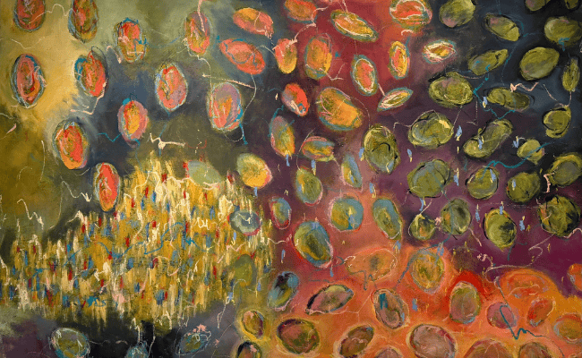 Krytzia Dabdoub: Diálogos de Agua y Tierra