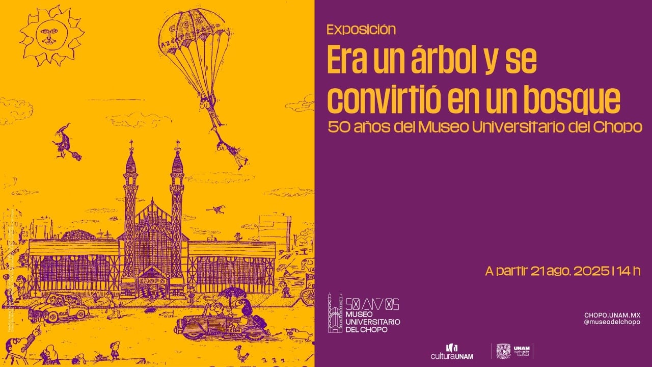 Era un árbol y se convirtió en un bosque