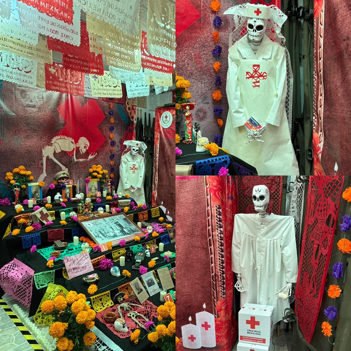 Noche de Museos: ofrenda en honor al voluntariado
