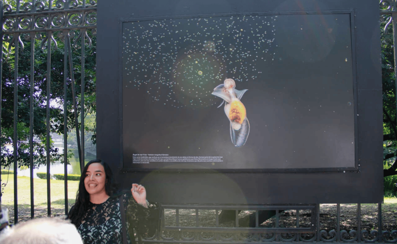 Fotografía Científica UNAM 2025