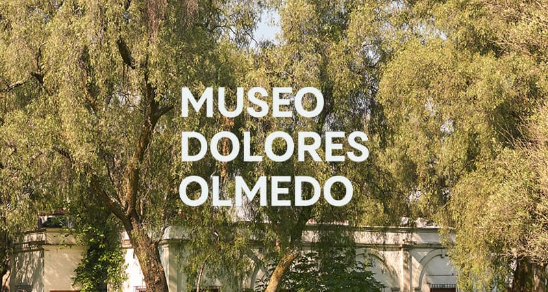 Colecciones y casa de Dolores Olmedo