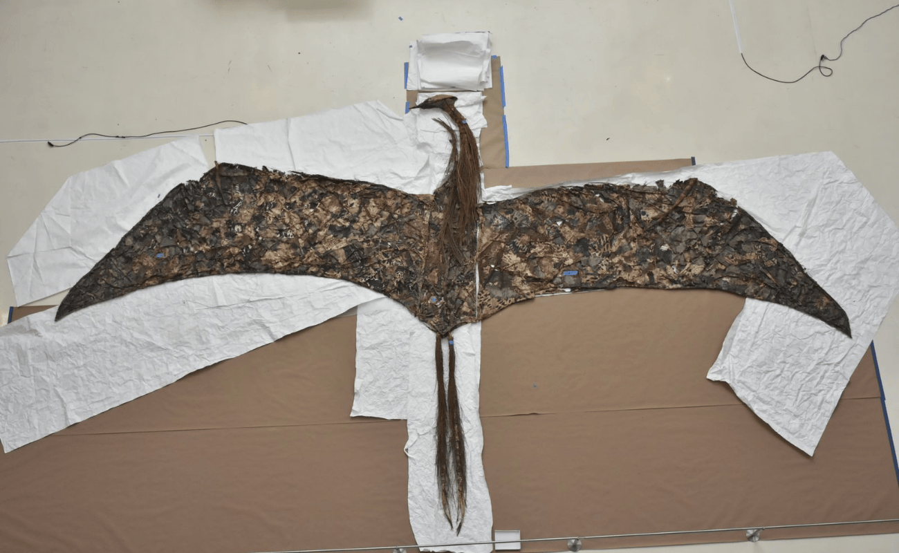 Marta Palau. El vuelo de Quetzalcoatlus